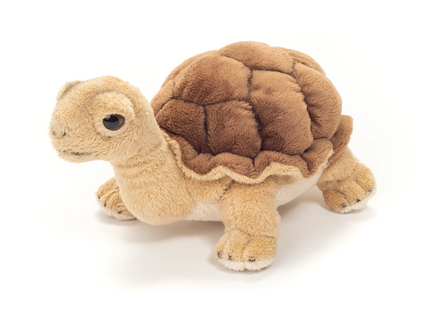 woo_src:https://ludibrium.ch/wp-content/uploads/2025/08/ludibrium-Schildkroete.png