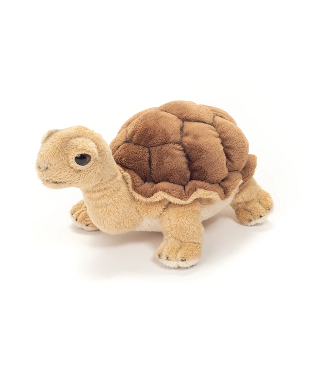woo_src:https://ludibrium.ch/wp-content/uploads/2025/08/ludibrium-Schildkroete.png