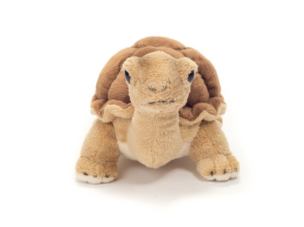 woo_src:https://ludibrium.ch/wp-content/uploads/2025/08/ludibrium-Schildkroete1.png