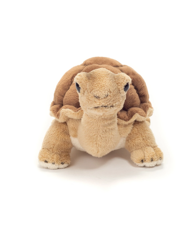 woo_src:https://ludibrium.ch/wp-content/uploads/2025/08/ludibrium-Schildkroete1.png