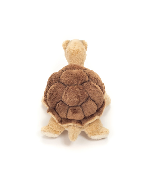 woo_src:https://ludibrium.ch/wp-content/uploads/2025/08/ludibrium-Schildkroete2.png