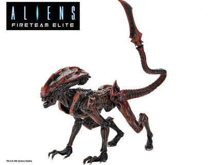 woo_src:https://ludibrium.ch/wp-content/uploads/2024/03/ludibrium-alien-prowler3.jpg