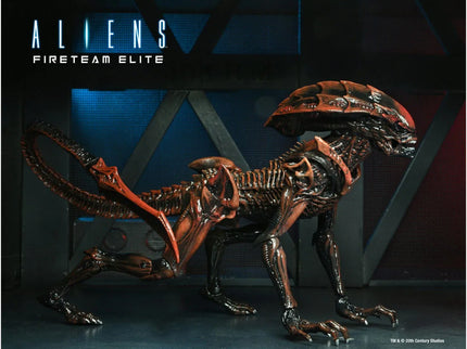 woo_src:https://ludibrium.ch/wp-content/uploads/2024/03/ludibrium-alien-prowler4.jpg