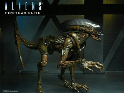 woo_src:https://ludibrium.ch/wp-content/uploads/2024/03/ludibrium-alien-runner1.jpg