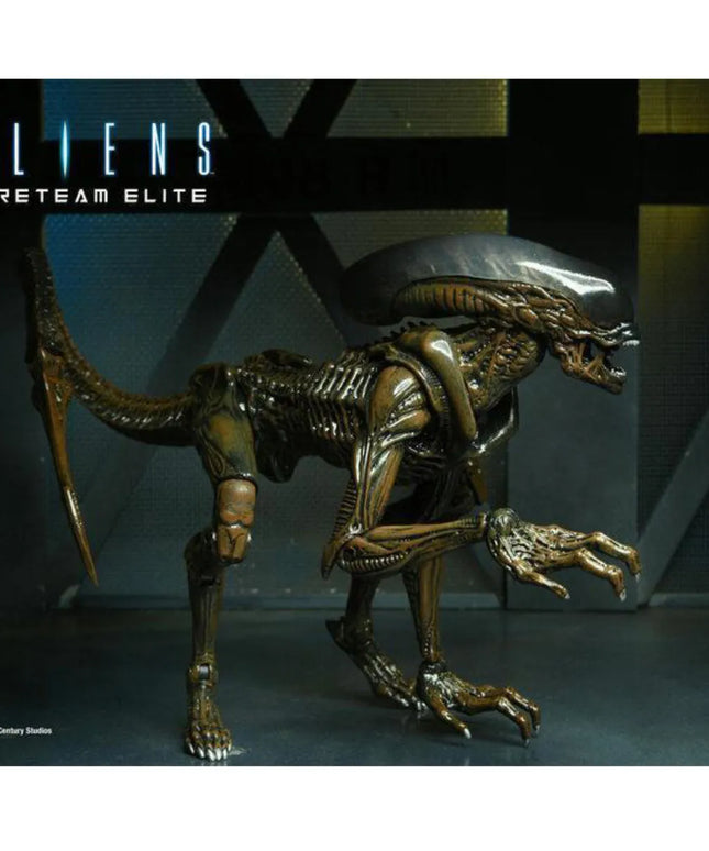 woo_src:https://ludibrium.ch/wp-content/uploads/2024/03/ludibrium-alien-runner1.jpg