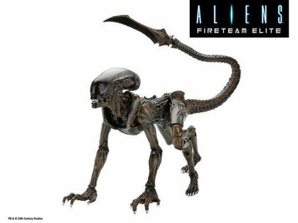 woo_src:https://ludibrium.ch/wp-content/uploads/2024/03/ludibrium-alien-runner2.jpg