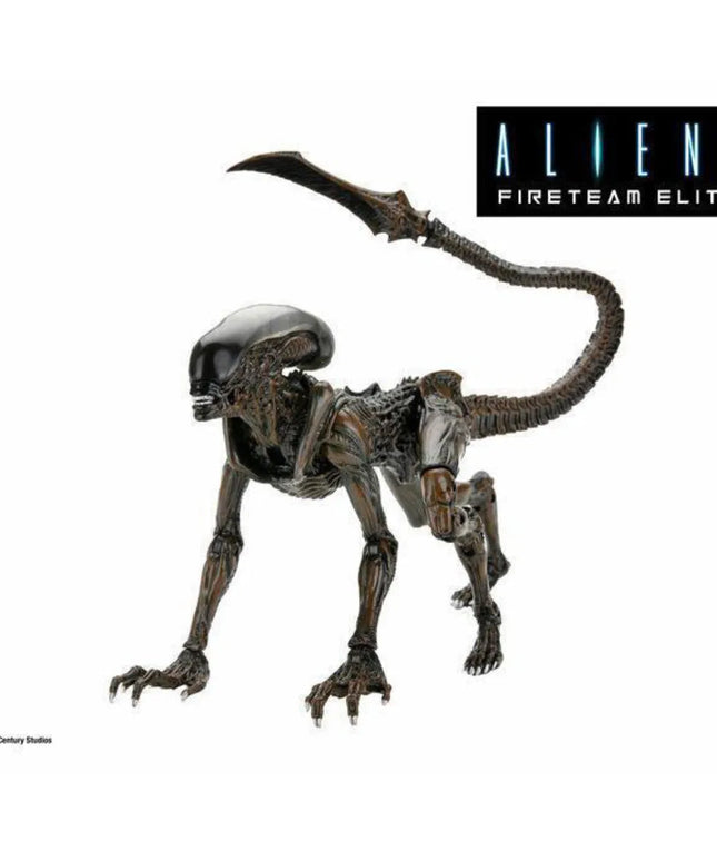 woo_src:https://ludibrium.ch/wp-content/uploads/2024/03/ludibrium-alien-runner2.jpg