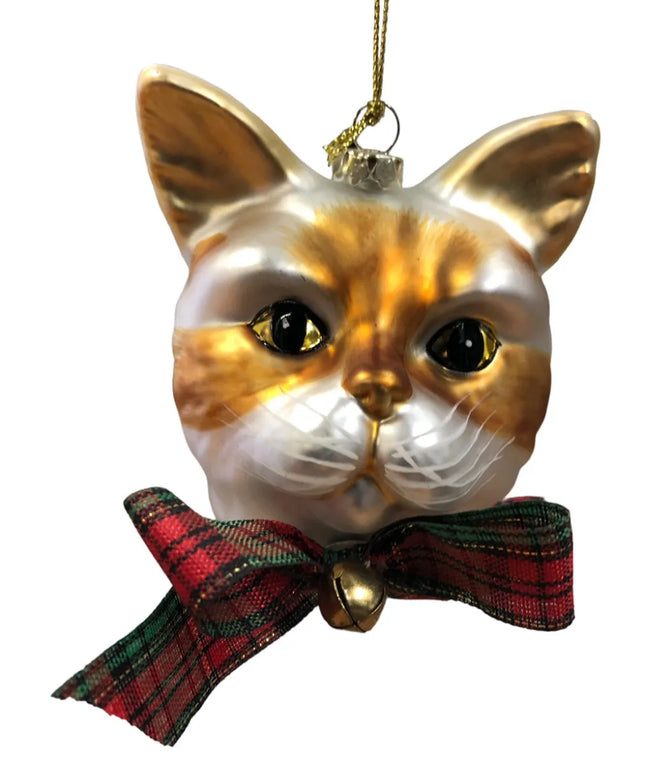 woo_src:https://woo.ludibrium.ch/wp-content/uploads/2020/11/ludibrium%E2%80%93Katze-0040690B.jpg