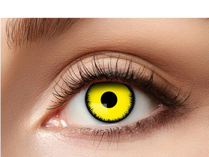 woo_src:https://ludibrium.ch/wp-content/uploads/2024/03/ludibrium%E2%80%93Kontaktlinsen-Angelic-Yellow.jpg