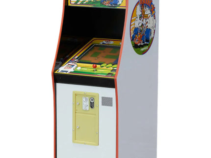 woo_src:https://woo.ludibrium.ch/wp-content/uploads/2018/01/ludibrium%E2%80%93Namco-rally.jpg