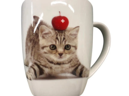 woo_src:https://ludibrium.ch/wp-content/uploads/2025/03/ludibrium%E2%80%93Tasse-Katze.jpg