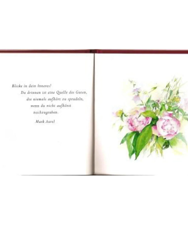 woo_src:https://ludibrium.ch/wp-content/uploads/2024/09/ludibrium%E2%80%93das-kleine-buch1.jpg