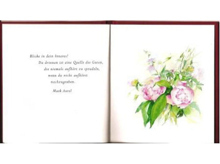 woo_src:https://woo.ludibrium.ch/wp-content/uploads/2024/09/ludibrium%E2%80%93das-kleine-buch1.jpg