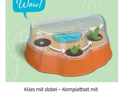 woo_src:https://ludibrium.ch/wp-content/uploads/2024/03/ludibrium%E2%80%93kakteen-wueste.3.jpg