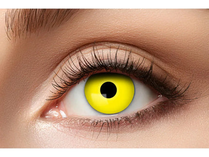 woo_src:https://ludibrium.ch/wp-content/uploads/2024/02/ludibrium%E2%80%93yellow-crow.jpg
