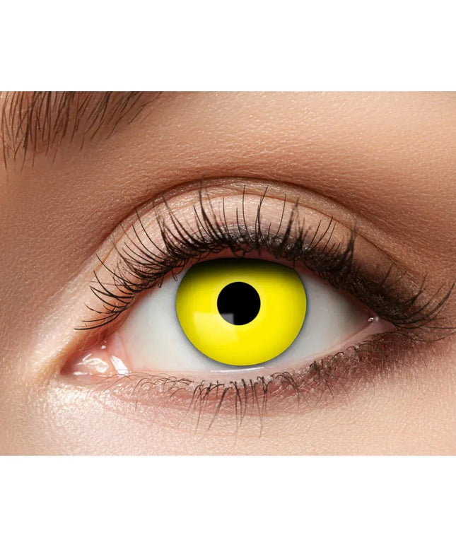 woo_src:https://ludibrium.ch/wp-content/uploads/2024/02/ludibrium%E2%80%93yellow-crow.jpg