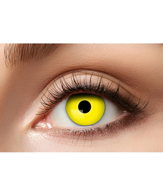 woo_src:https://ludibrium.ch/wp-content/uploads/2024/02/ludibrium%E2%80%93yellow-crow.jpg