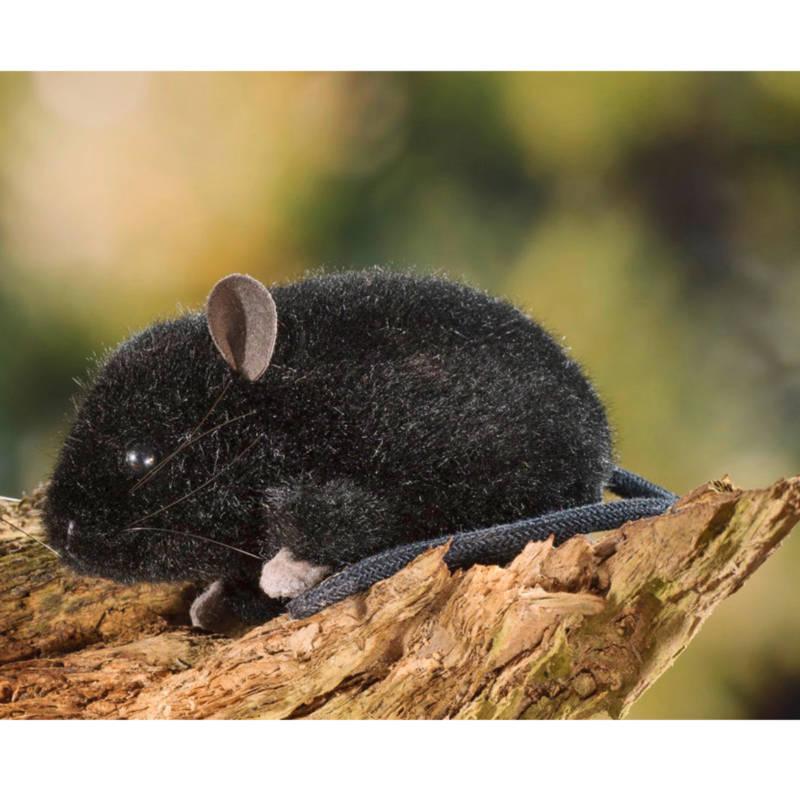 Ludibrium-Kösen-Maus schwarz