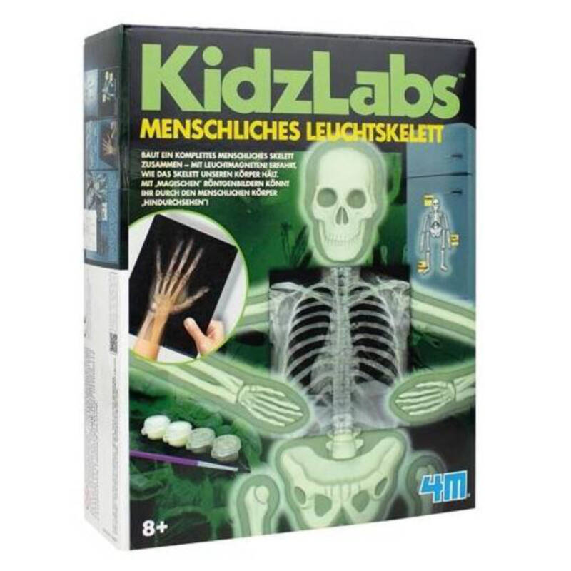Ludibrium-4M KidzLabs - Menschliches Leuchtskelett