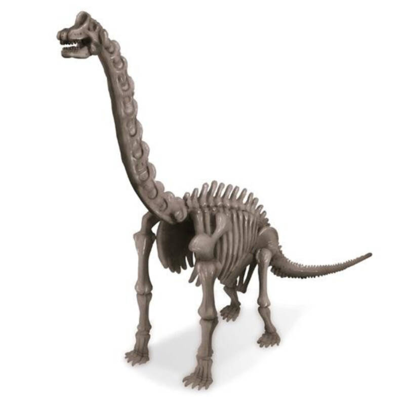 Ludibrium-4M KidzLabs - Dinosaurier Ausgrabung - Brachiosaurus