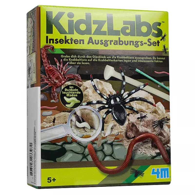 Ludibrium-4M KidzLabs - Insekten Ausgrabungsset