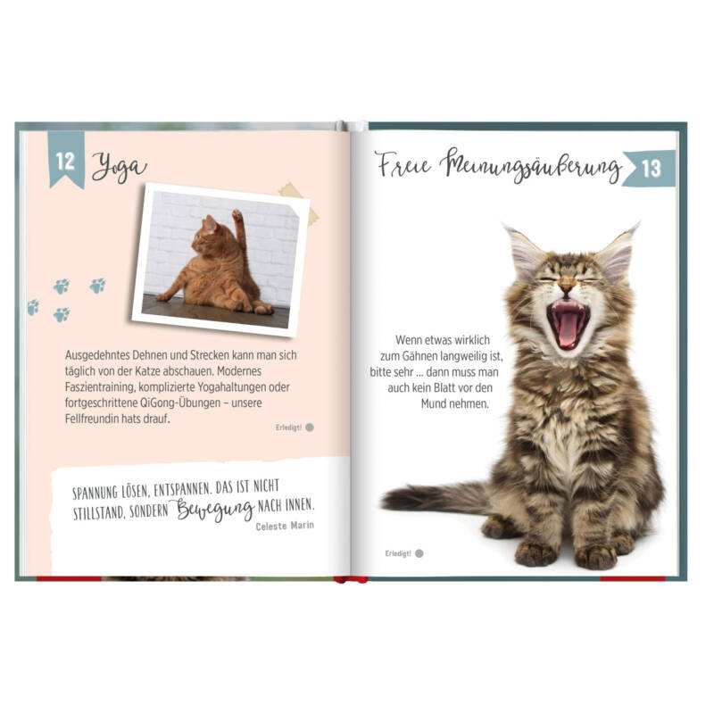 Ludibrium-Groh Verlag - 100 Dinge, die man von einer Katze lernen kann