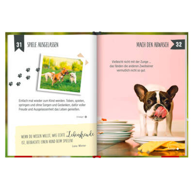 Ludibrium-Groh Verlag - 100 Dinge, die man von einem Hund lernen kann