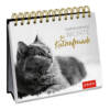 Ludibrium-Groh Verlag - Inspirierende Worte für Katzenfreunde