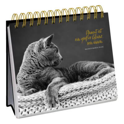 Ludibrium-Groh Verlag - Inspirierende Worte für Katzenfreunde